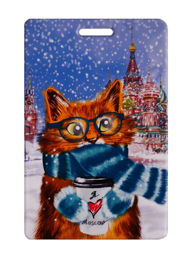 Картхолдер «Москва. Котик в шарфе» 2701933 — 1