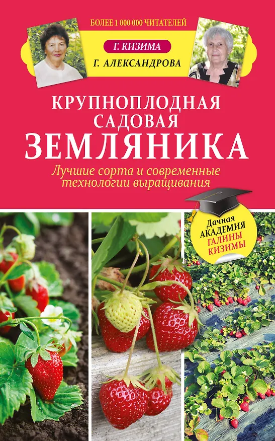 Книга Крупноплодная садовая земляника. Лучшие сорта и современные технологии выращивания (Галина Кизима) — 1