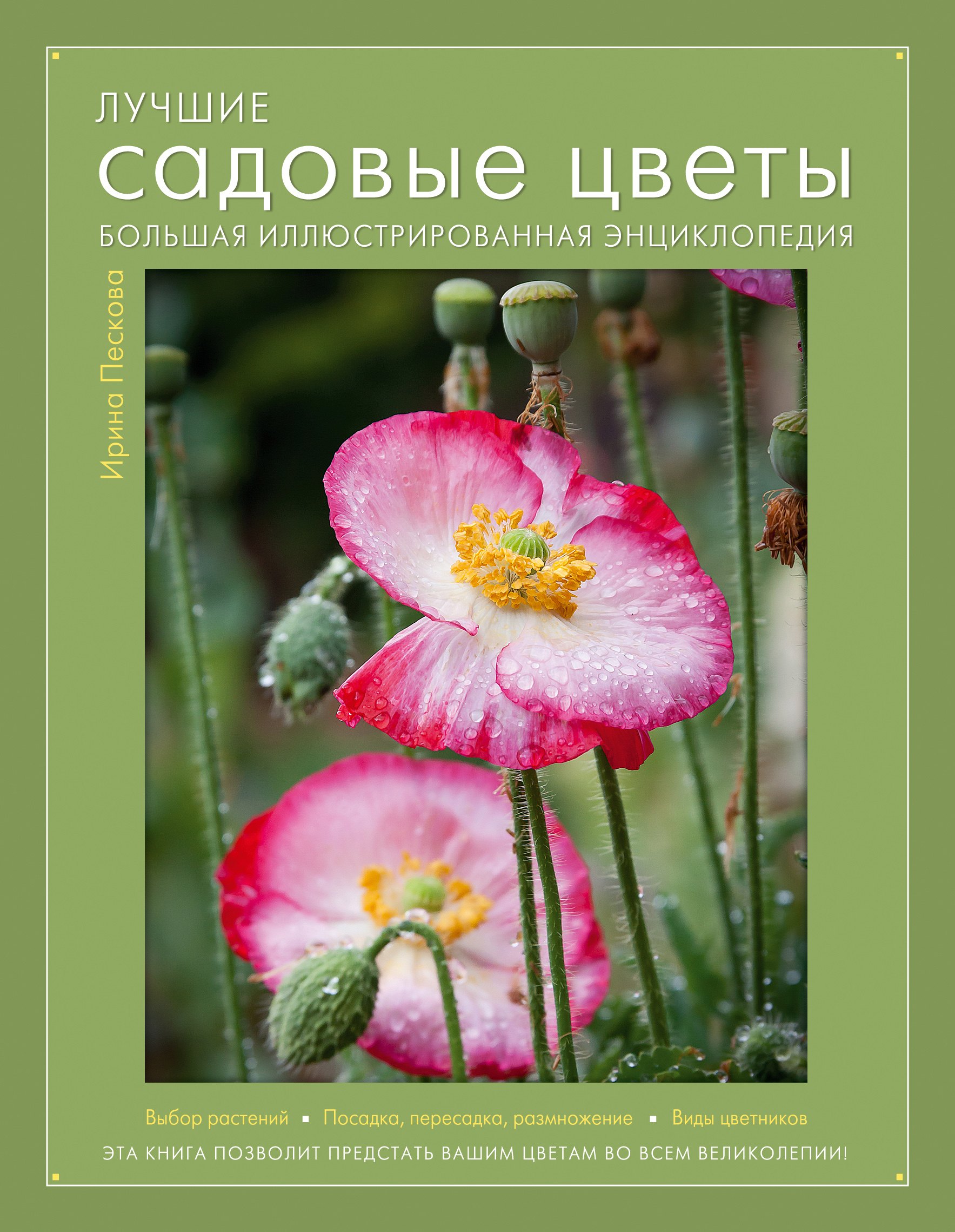 

Лучшие садовые цветы. Большая иллюстрированная энциклопедия