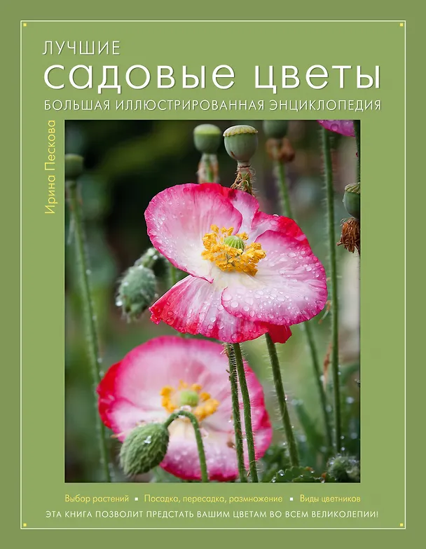 Книга Лучшие садовые цветы. Большая иллюстрированная энциклопедия (Ирина Пескова) — 1