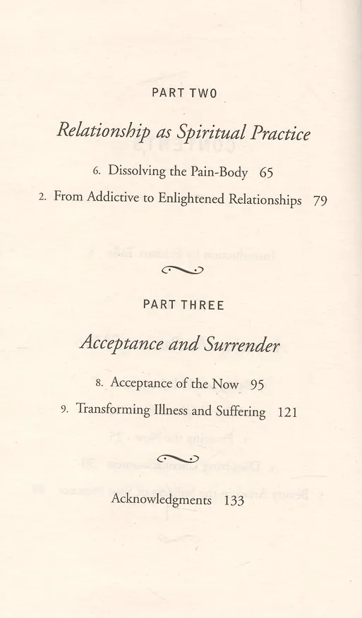 Книга Practising The Power of Now A Guide to Spiritual Enlightenment (м) (IB) Tolle (Экхарт Толле) — 3