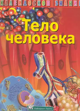 Тело человека / (Калейдоскоп знаний) (супер). Сапцина У. (Лабиринт) — 2226799 — 1