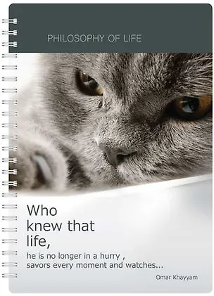 Тетрадь Be Smart, Cats and dogs, А4, 96 листов 325191