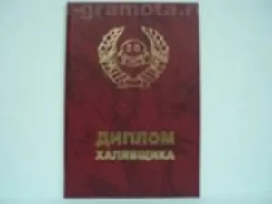 Диплом халявщика (AE0000715) (Мастер)