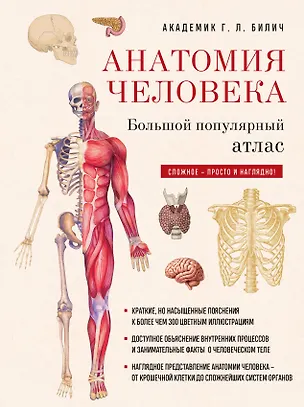 Книга Анатомия человека: большой популярный атлас (новое оформление) (Габриэль Билич)