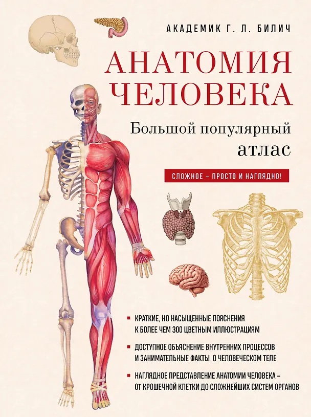 Книга Анатомия человека: большой популярный атлас (новое оформление) (Габриэль Билич) — 1