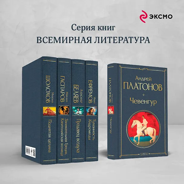 Книга Чевенгур (Андрей Платонов) — 8