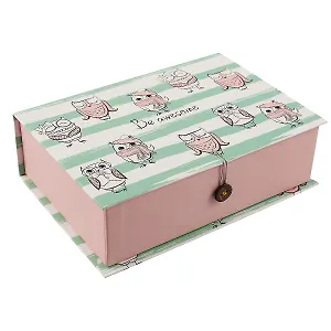 Шкатулка-книга с пуговицей картон M Совы Be awesome (мятные полоски) (20х13,5х6см) (12-Kairui-RZ-