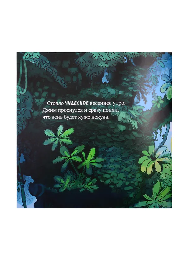 Книга Обезьянка-ворчун () — 2