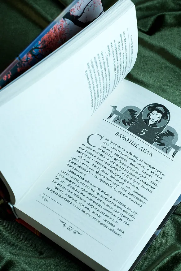 Книга Конец времен. Огненная царица (Линь Мэй) — 11