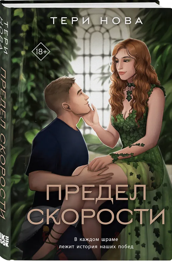 Книга Предел скорости (Тери Нова) — 4