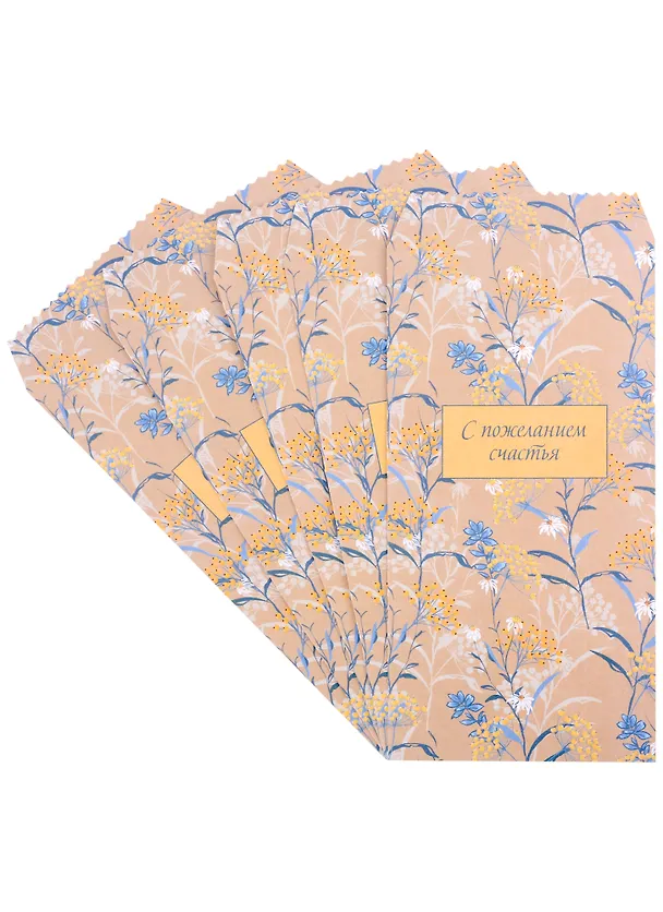 Конверт для денег "Botanica", 5 штук в упаковке 2889011 — 2