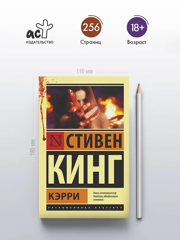 Книга Кэрри (Стивен Кинг) — 6