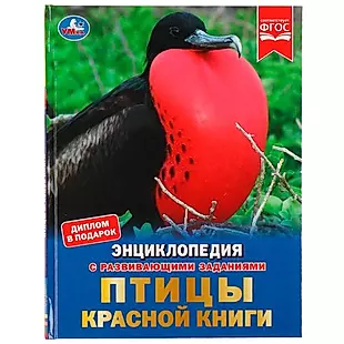 Птицы Красной книги — 2992259 — 1