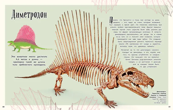 Книга Динозавры и другие доисторические животные. Энциклопедия (Анусия Чинсами-Тюран) — 9