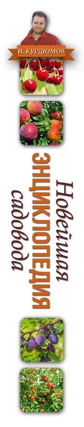 Книга Новейшая энциклопедия садовода (Николай Курдюмов) — 3