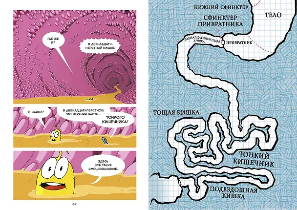 Книга Пищеварение. Научный комикс (Виола Джейсон) — 6