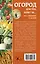 Огород для тех, кому за... без лишних усилий — 2501479 — 2