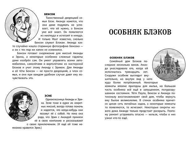 Книга Аманда Блэк. Потерянный амулет (Хуан Гомес-Хурадо, Барбара Монтес) — 15
