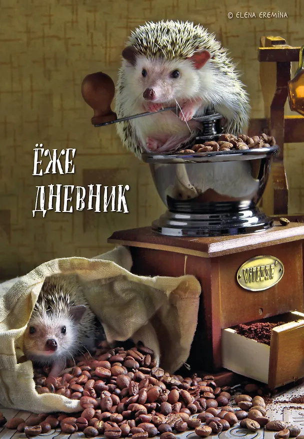 Ежедневник недат. А5 72л "Ёжедневник. Блокнот для людей и ежей (кофе)" 3059206 — 1