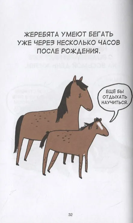 Грустные факты о детёнышах 2695592 — 7