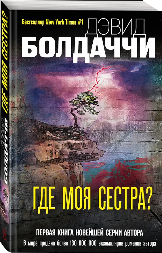 Книга Где моя сестра? (Дэвид Болдаччи) — 4