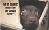 Сувенир Магнит 4*7см пластик. "ты не одинок тебя тоже кто-нибудь любит!"