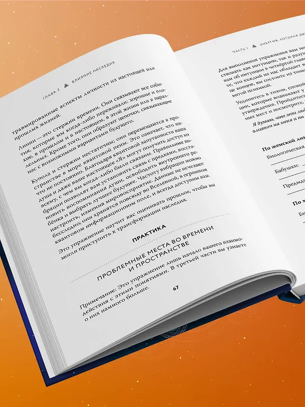 Книга Наследие рода. Трансформация. Как сохранить наследие предков и исцелить прошлое с помощью тонких энергий (Синди Дэйл) — 11