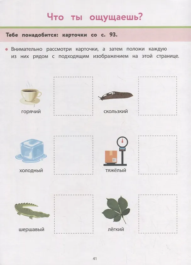Книга Рабочая тетрадь Монтессори. Окружающий мир (Колин Кретон, Реми Леглиз) — 5