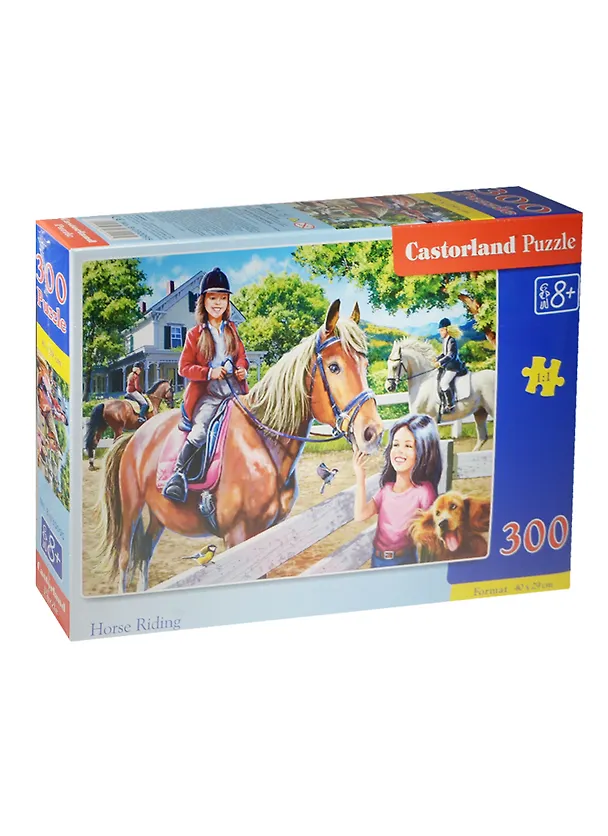 Пазлы 300 B-030095 Верховая езда (40х29см) (8+) (коробка) (Castorland) 2495561 — 1