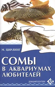 Сомы в аквариумах любителей