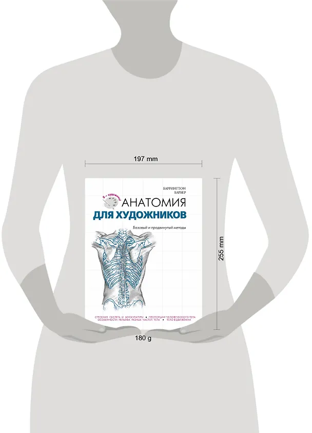 Книга Анатомия для художников (Баррингтон Барбер) — 5
