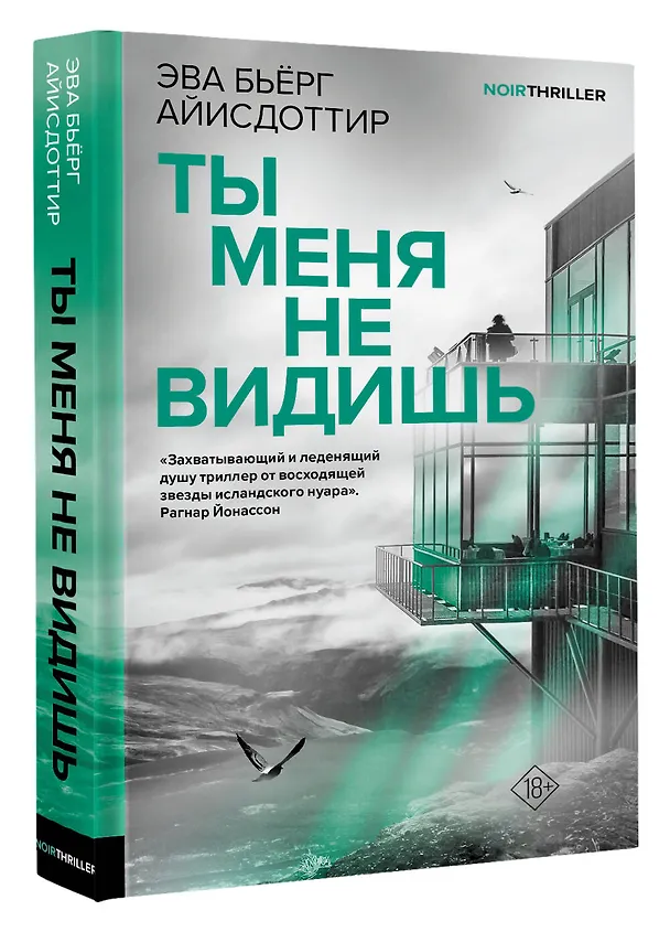 Книга Ты меня не видишь (Эва Бьёрг Айисдоттир) — 4