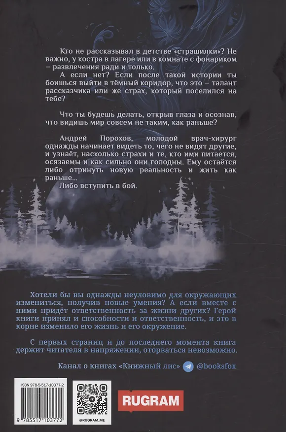 Книга Сущности. Прозрение (Александр Зимний) — 2