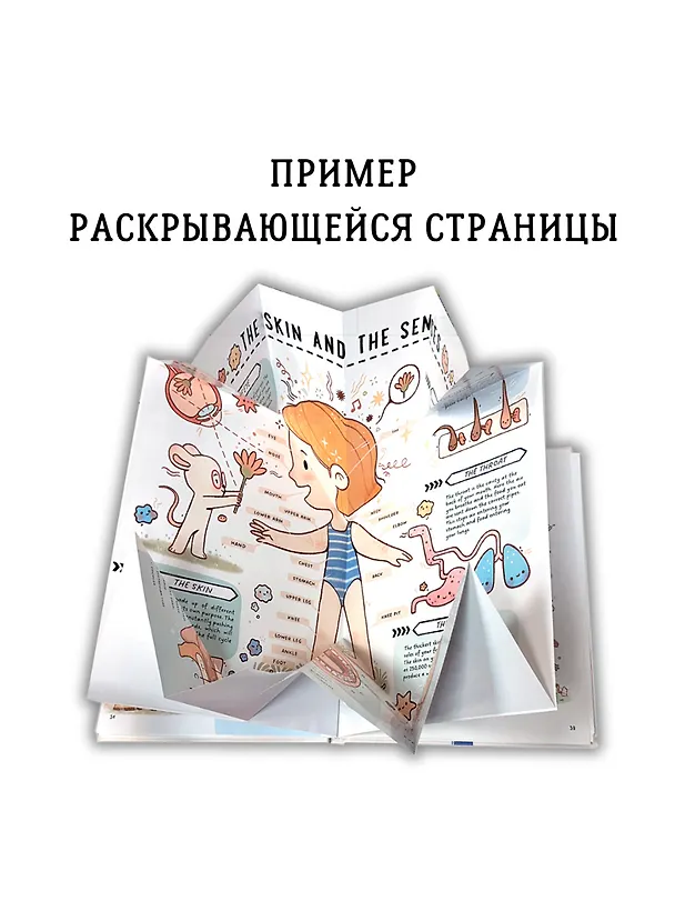 Книга Книга с секретами. Секреты тела человека () — 9