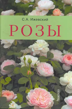 Розы — 2268283 — 1