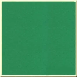 Бумага для пастели 50*65 "Tiziano" 160г/м2 №12 зеленый, Fabriano
