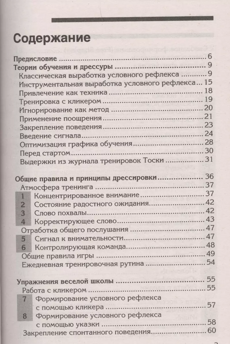 Веселая школа для собак. 100 совершенно новых игр, трюков