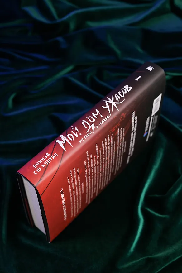 Книга Мой дом ужасов. Книга 1 (My House of Horrors). Новелла (Кунтяо Вохуэй Сю) — 12