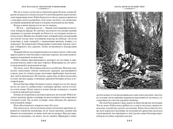 Книга Гвианские робинзоны (Луи Анри Буссенар) — 10