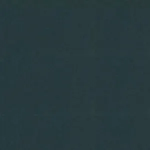 Бумага для пастели 50*65 "Tiziano" 160г/м2 №30 антрацит, Fabriano