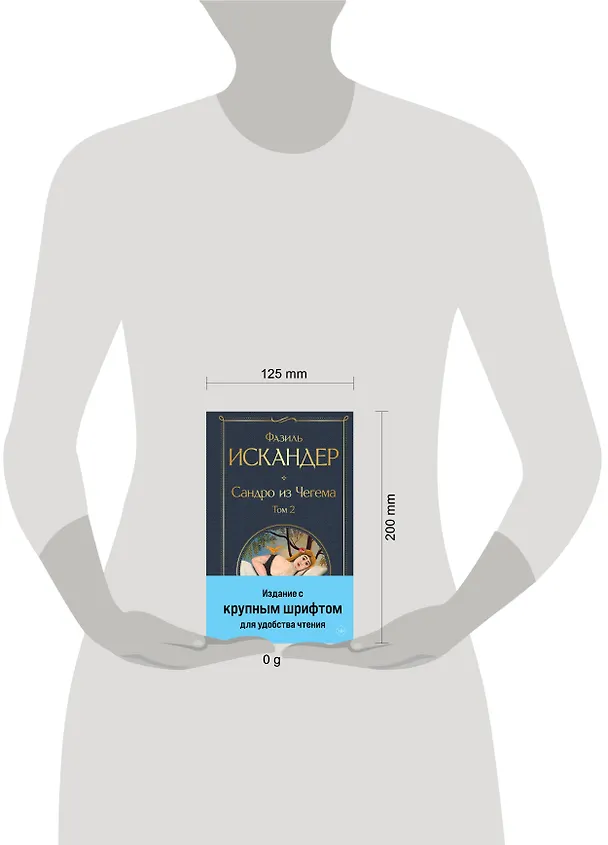 Книга Сандро из Чегема. Том 2 (Фазиль Искандер) — 5