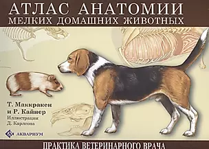 Атлас анатомии мелких домашних животных. (цвет.) — 2426275 — 1