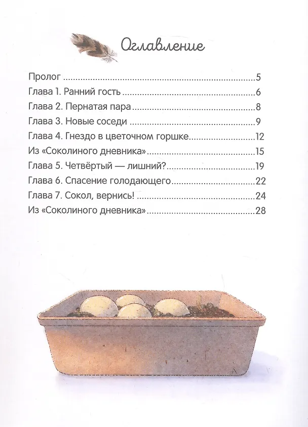 Книга Мои соседи соколы (Алёна Кашура) — 6