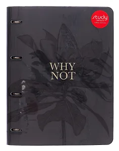 Тетрадь А4 120л кл. "Aesthetics", на кольцах, сменный блок, обложка кожзам, тиснение фольгой, индивидуальная упаковка