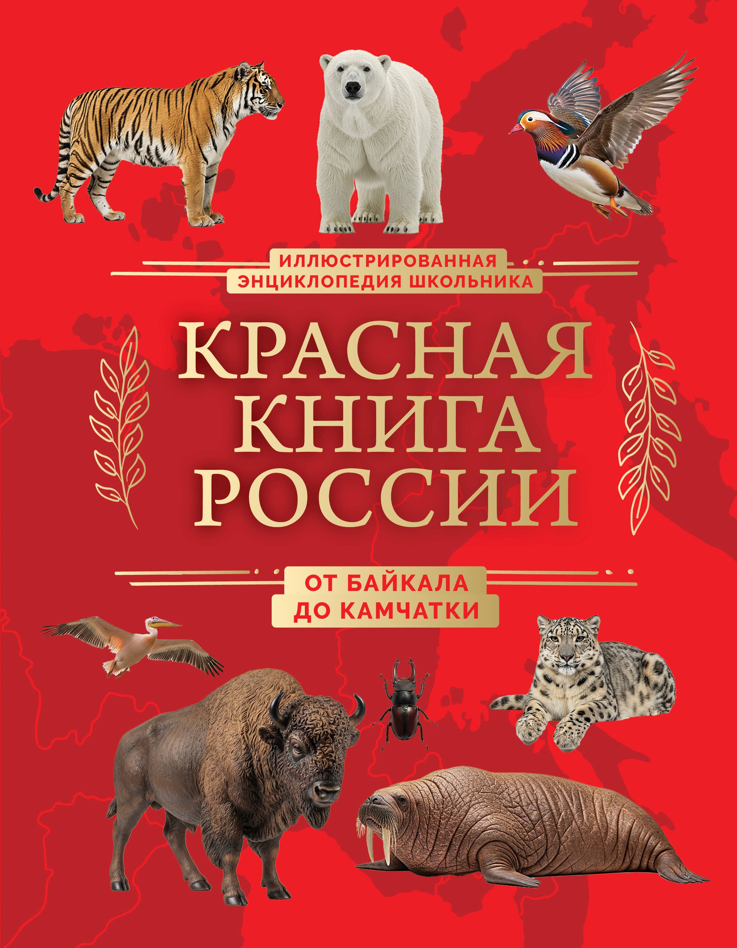 Красная книга России. От Байкала до Камчатки. Иллюстрированная энциклопедия школьника (48 стр.)