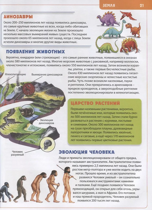 Книга Будущему отличнику! Детская энциклопедия для младших школьников () — 4