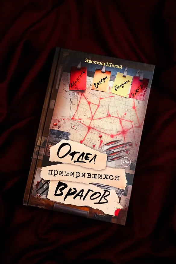 Книга Отдел примирившихся врагов (Эвелина Шегай) — 5