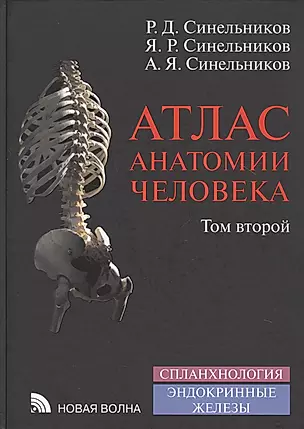 Атлас анатомии человека Т.2/4 Спланхнология Эндокринные железы (8 изд.) Синельников — 2786645 — 1