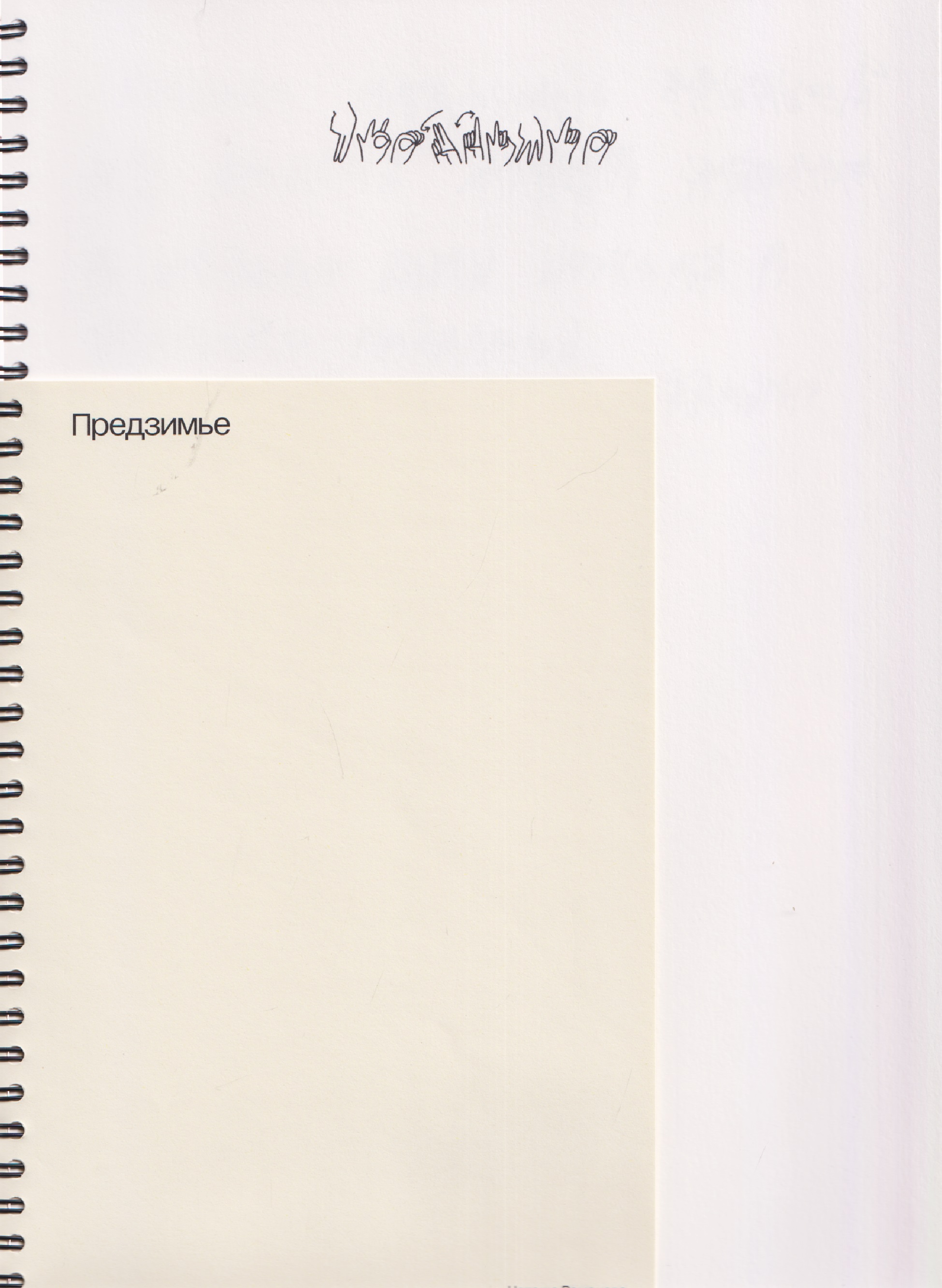 Обложка книги «Предзимье»
